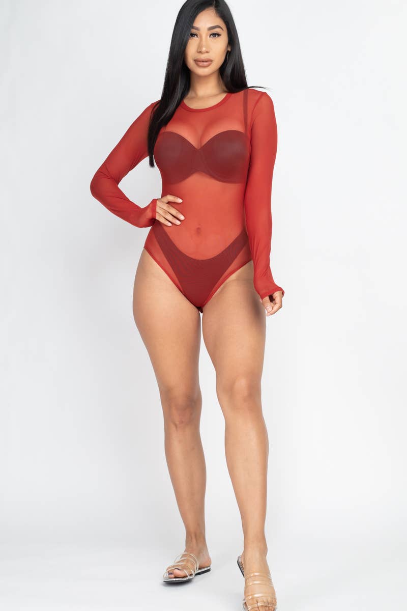 Mesh Sheer Long Sleeves Bodysuit: Black / S