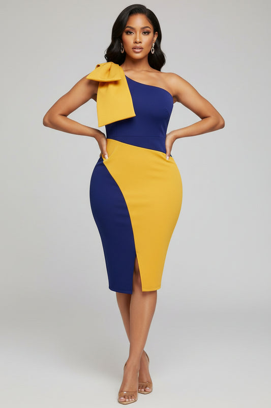 Two-Color Elegant Dress