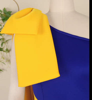 Two-Color Elegant Dress