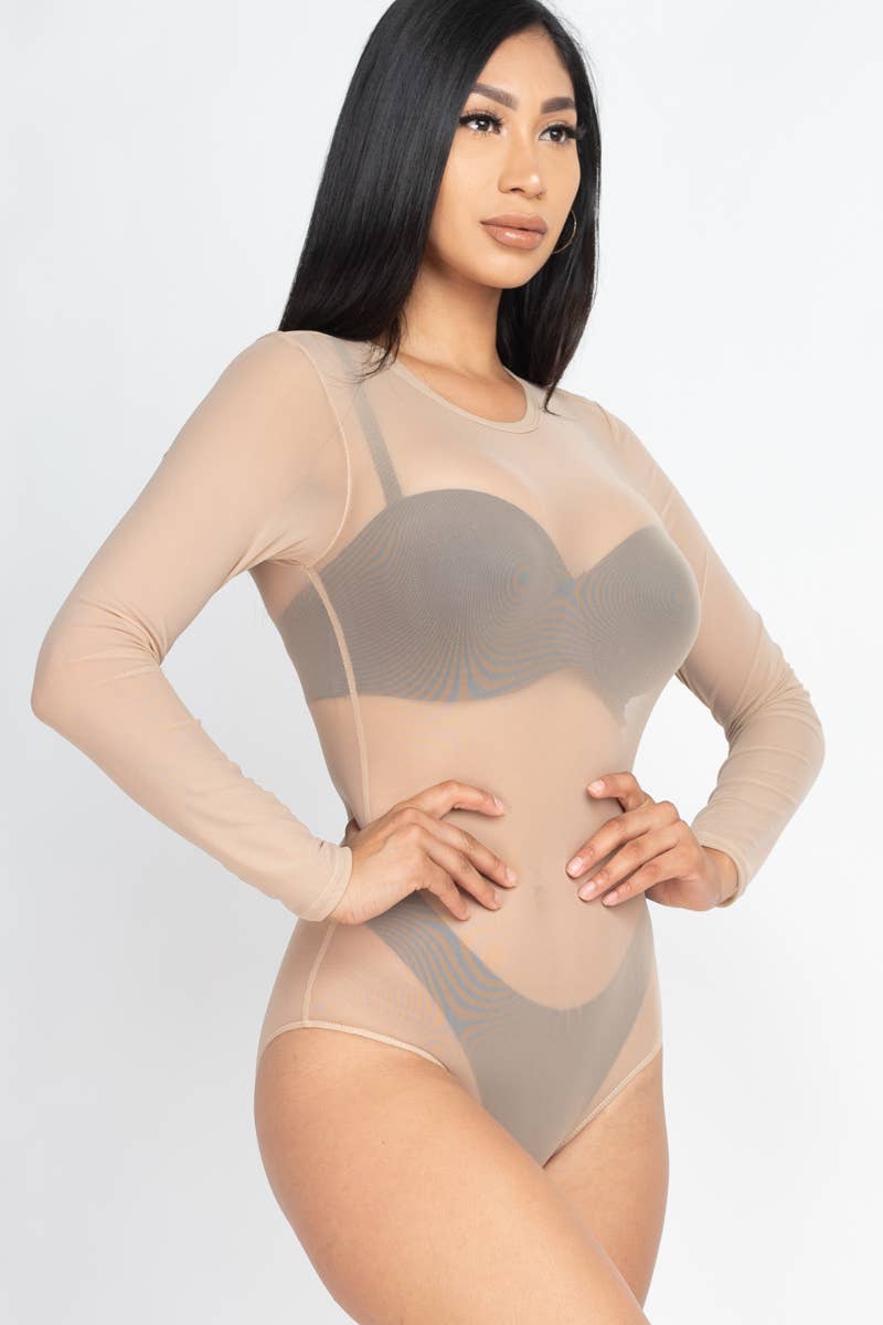 Mesh Sheer Long Sleeves Bodysuit: Black / M