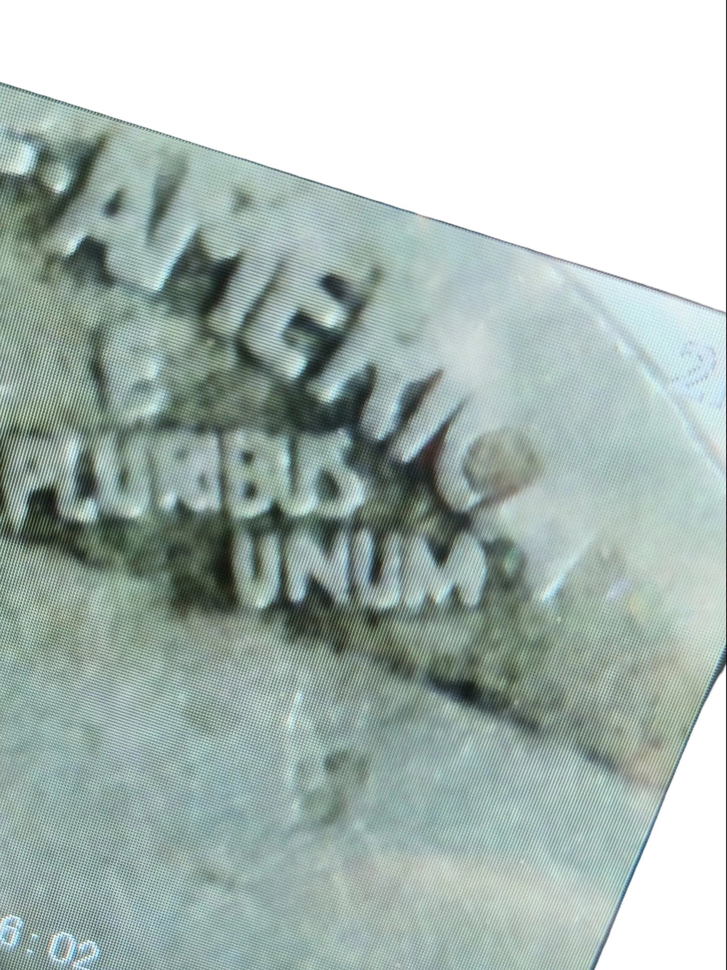 Buffalo Nickel Dateless - Ceca "D" Denver - El Fantasma del Pasado